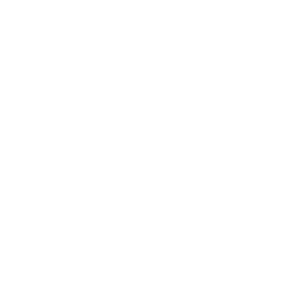 Destiny 2 Tricorn